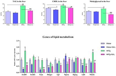Hypolipidemic and insulin sensitizing effects of salsalate beyond suppressing inflammation in a prediabetic rat model